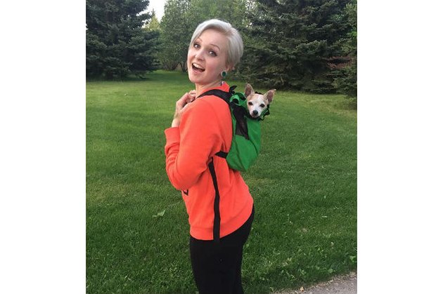 Dogs in backpacks