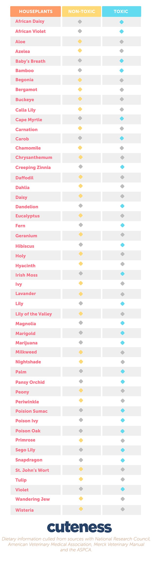An infographic of common houseplants that are toxic and non-toxic to dogs