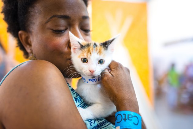 10 Purrfect Attractions You Don't Want to Miss At CatCon 2018