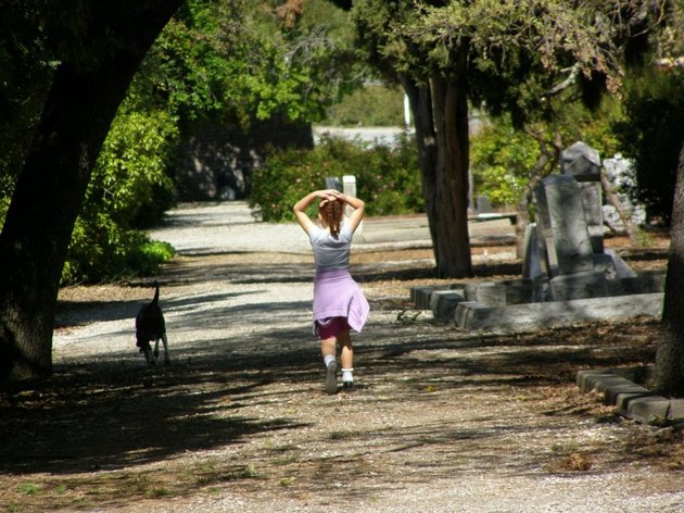 An angry dog forgives her owner.