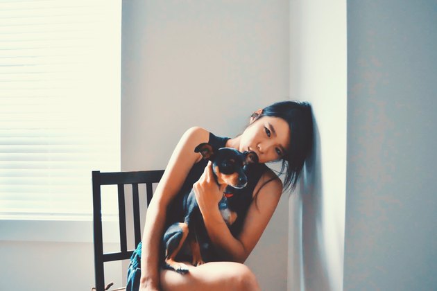 An angry dog sits on a woman's lap.