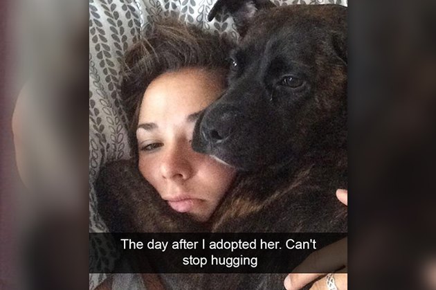 18 Adopted Dogs Who Are Coming Home For The First Time
