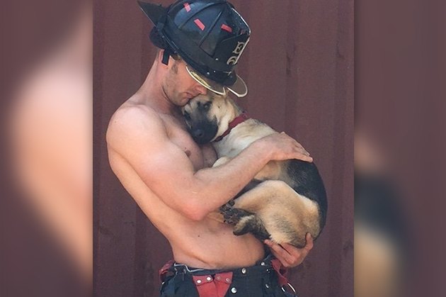 18 Adopted Dogs Who Are Coming Home For The First Time