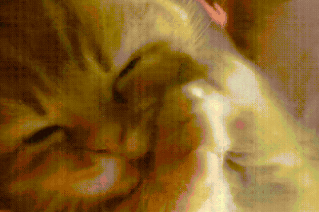Perfectly Pink Photos Of Kitty Toe Beans