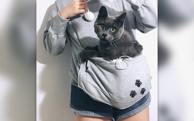 32 Laziest Cats The World Has Ever Seen