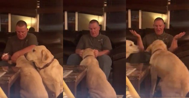 Family gives dog jealous of sibling placebo for ear