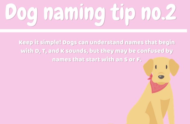 how to name a dog tip