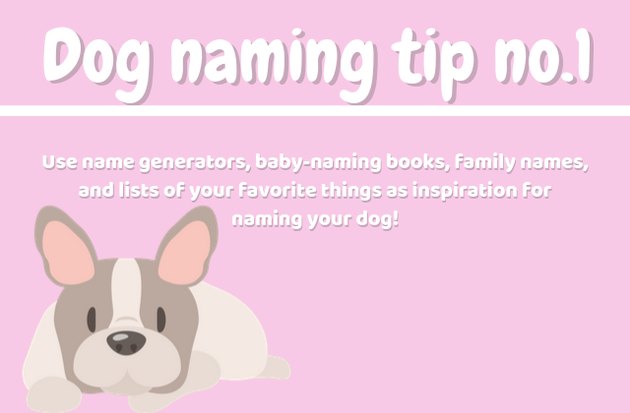 how to name a dog tip