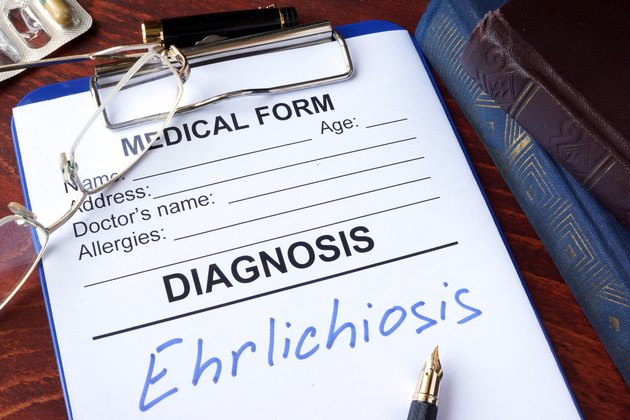 Medical form with diagnosis Ehrlichiosis in a hospital.
