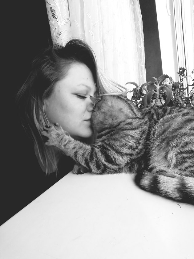 Close-Up Of Young Woman Kissing Cat At Home