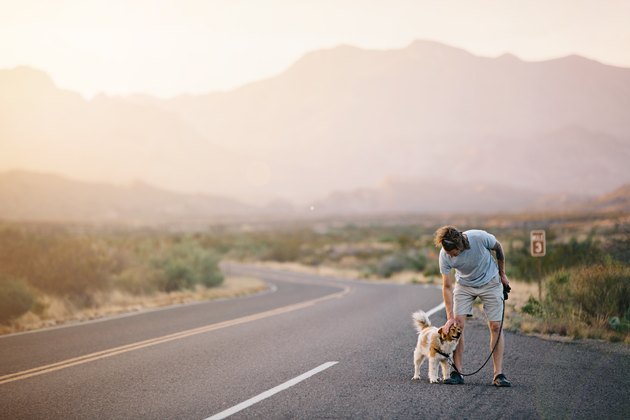 Man walking dog on road at sunset in desert landscape