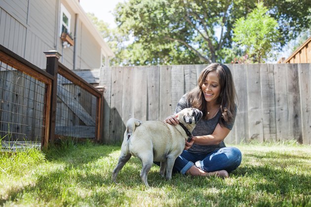 Woman playing with pug while sitting on grassy field in backyard