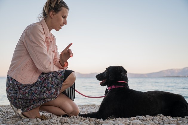 Young woman kneeling down to give command to her black shepherd dog