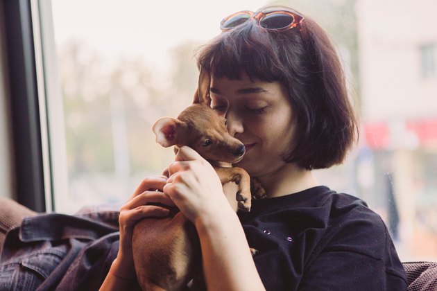 Girl holding her puppy Miniature Pinscher