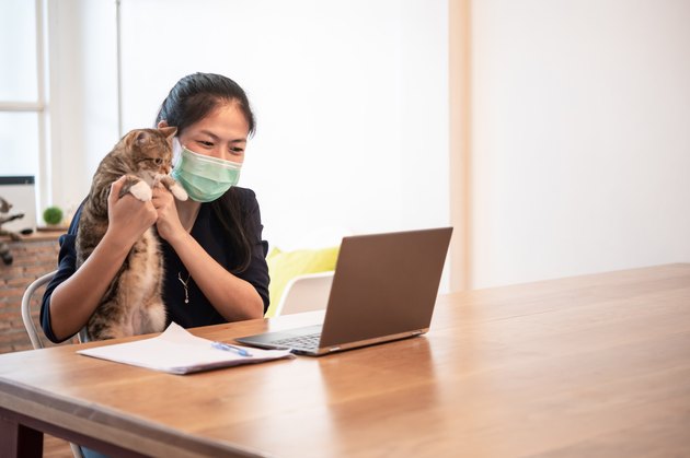 Beautiful young Asian woman using computer for video call meeting with friends at home during coronavirus pandemic for self isolation and social distancing.