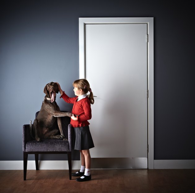 Little girl standing with dog outside vets door