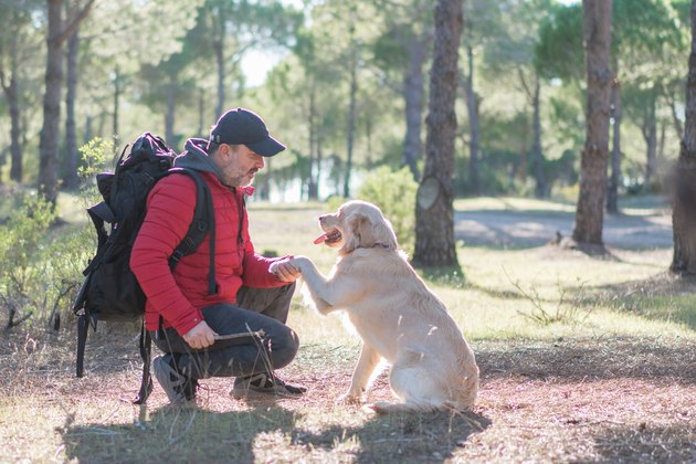 Man with a dog hiking and playing in forest