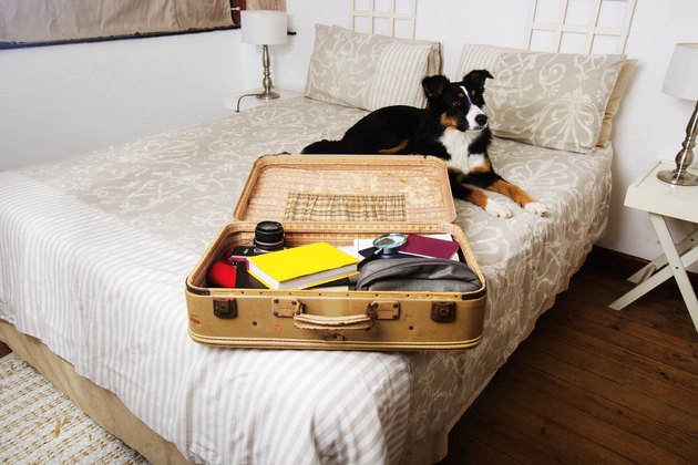Suitcase packing
