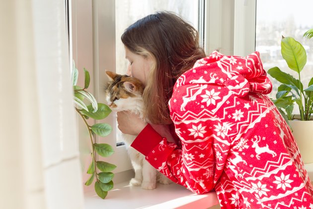 Winter time at home, young girl in winter warm pajamas with a cat looking out the window