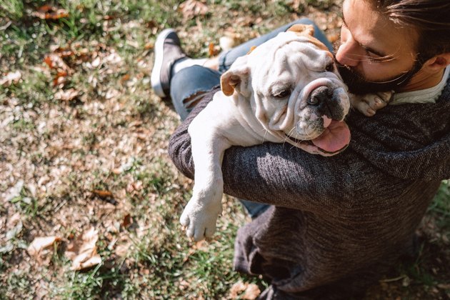 Man And Dog Enjoying Sunny Day In Nature