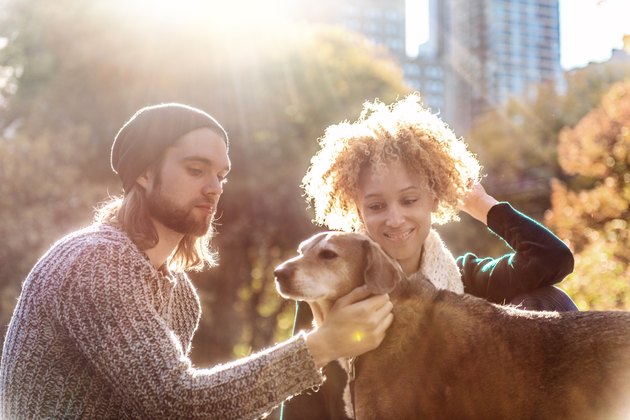 Best friends in Central Park