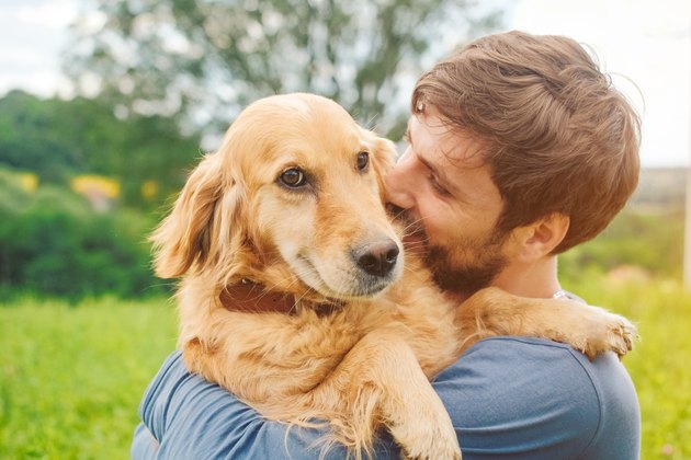Guy and his dog, golden retriever, nature