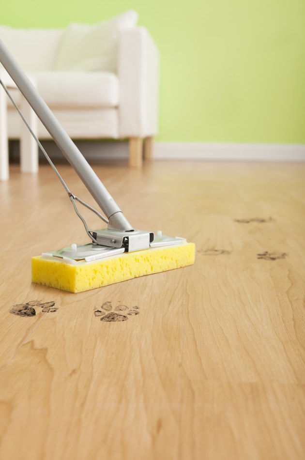 closeup of mop with paw prints around it