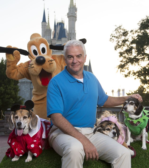 101 Dogs Visit Walt Disney World For Animal Planet TV Special