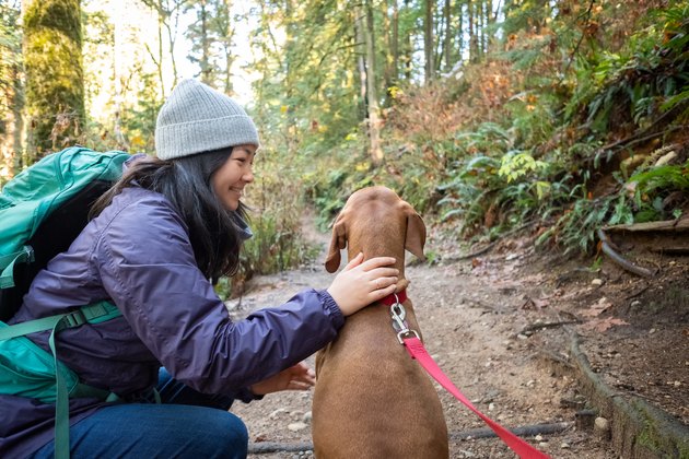 Eurasian Young Woman Pets Vizsla Dog on Forest Hiking Trail