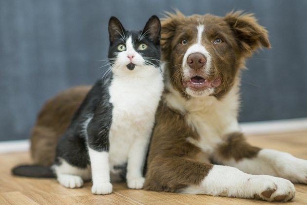Listening Closely