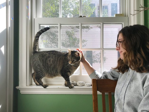 Teen Girl Petting Cat Balanced on a Windowsill