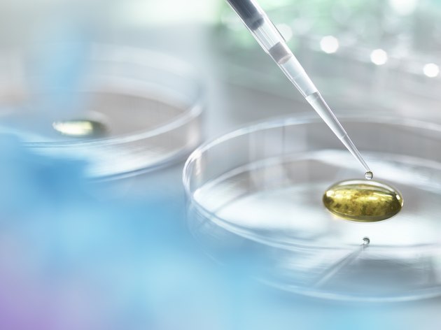 Scientist pipetting a specimen into medium containing bacteria for scientific research in laboratory