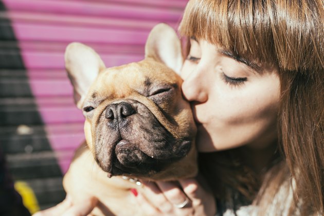 Portrait of young woman kissing French bulldog
