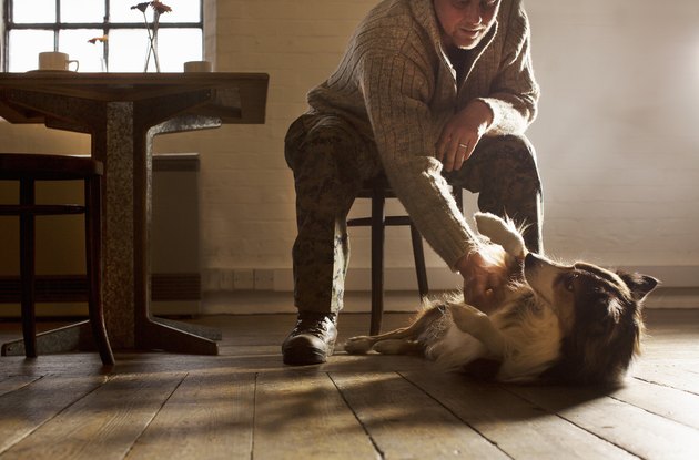 man rubbing dog's belly
