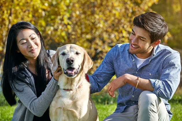 We’re super hands-on with our dog