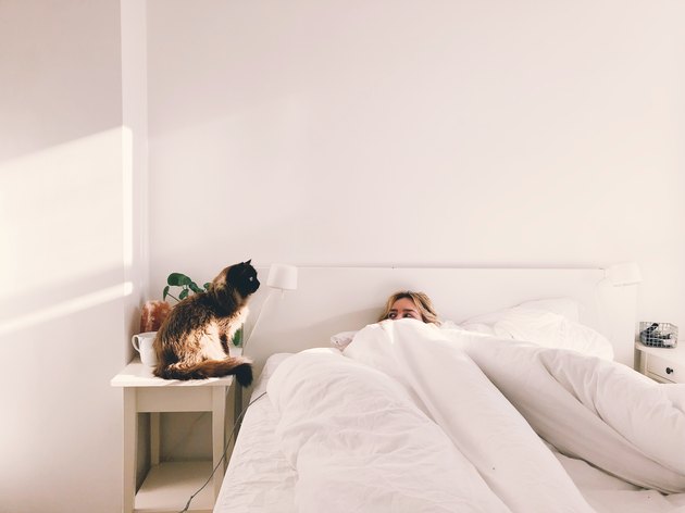 Cat Sitting Next To Woman In Bed