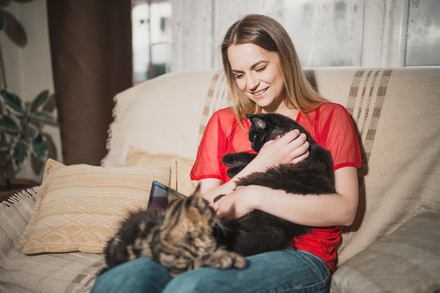 Young woman is enjoying spending time with her cats at home