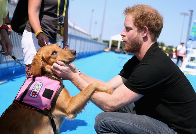 Invictus Games Orlando 2016 - Behind The Scenes