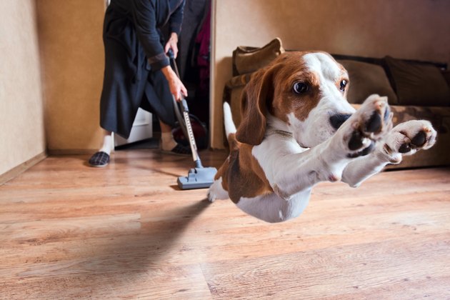 vacuum cleaner