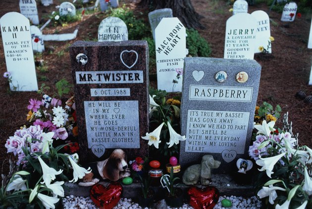 USA, California, San Francisco, gravestones in pet cemetery