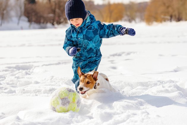 4 year old boy playing football (soccer) with his dog on snow