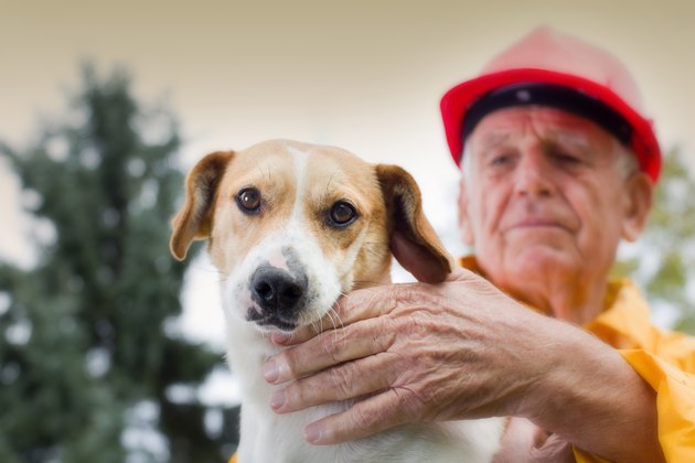 firefighter with dog in lap
