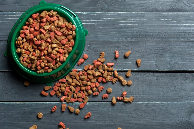 pet food on wooden floor