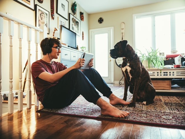 A young man with a portable tablet and headphones, with a dog at his feet.