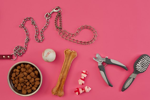 Dog accessories on pink background. Top view. Pets and animals concept