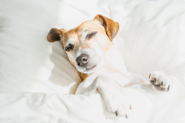 Sunny morning wake up.