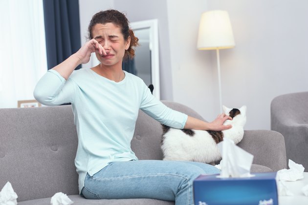 Young lady taking care of a cat developing a fur allergy