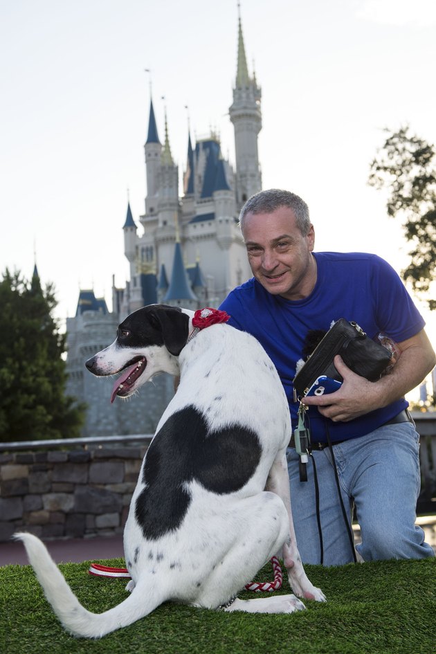101 Dogs Visit Walt Disney World For Animal Planet TV Special