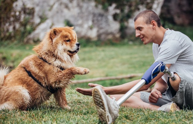 Disabled Man Sitting in Nature with his Dog