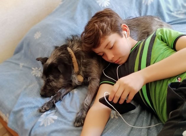 Creole dog and boy relaxing